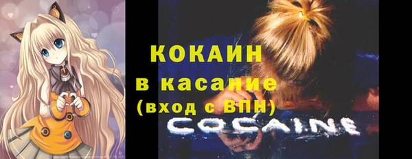 шишки Волосово