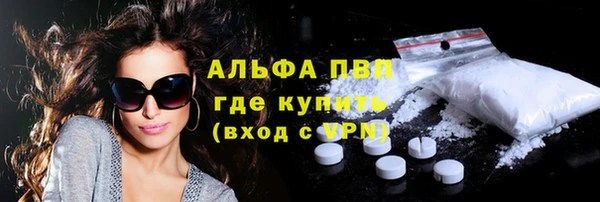 молекула духа Волоколамск