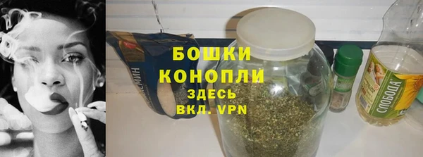 молекула духа Волоколамск
