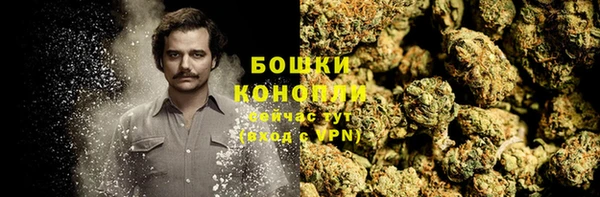 шишки Волосово