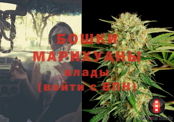 молекула духа Волоколамск