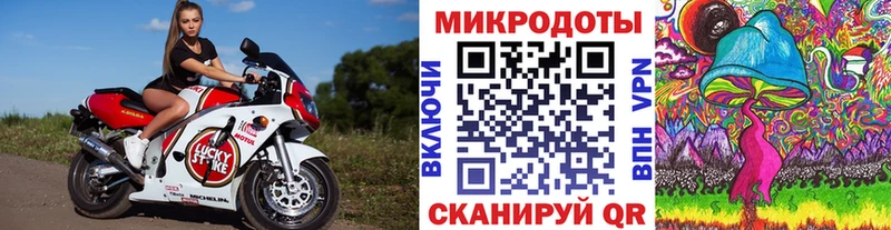 закладка  Новоржев  Галлюциногенные грибы MAGIC MUSHROOMS 