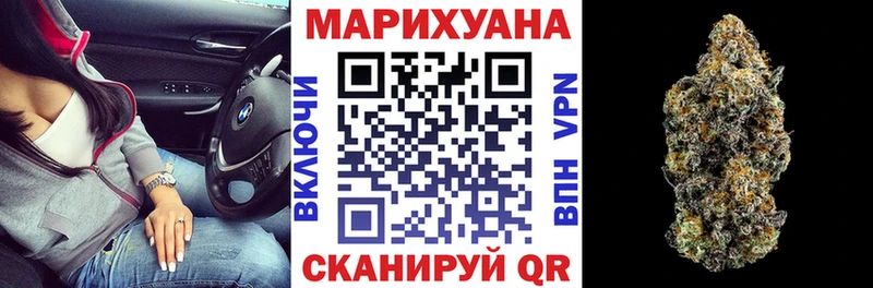 Бошки Шишки планчик Новоржев